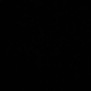 Meet your Posher, Shira